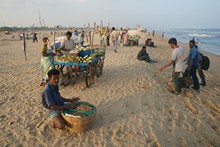 vignette Inde_Sud_0146.jpg 