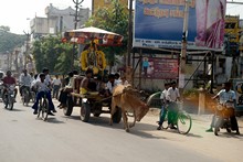 vignette Inde_Sud_0196.jpg 