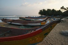 vignette Inde_Sud_0240.jpg 