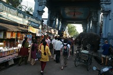 vignette Inde_Sud_0292.jpg 