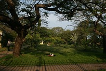 vignette Inde_Sud_0303.jpg 