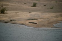 vignette Inde_Sud_0448.jpg 