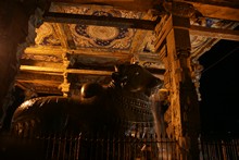 vignette Inde_Sud_0579.jpg 