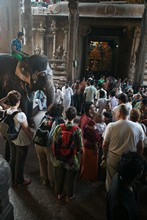 vignette Inde_Sud_0707.jpg 