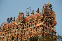 vignette Inde_Sud_0733.jpg 