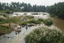 vignette Inde_Sud_0772.jpg 