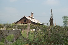 vignette Inde_Sud_0779.jpg 