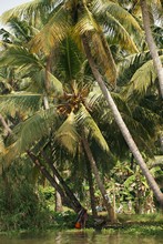 vignette Inde_Sud_0875.jpg 