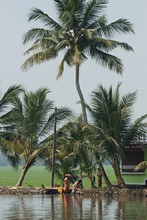 vignette Inde_Sud_0888.jpg 