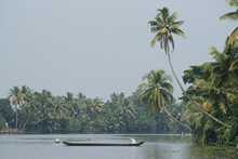 vignette Inde_Sud_0893.jpg 
