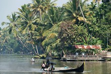vignette Inde_Sud_0898.jpg 
