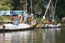 vignette Inde_Sud_0907.jpg 