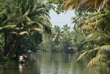 vignette Inde_Sud_0923.jpg 