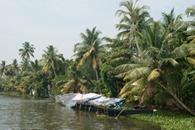 vignette Inde_Sud_0948.jpg 