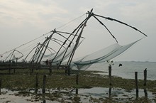 vignette Inde_Sud_0997.jpg 