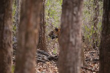 vignette Inde_2018_0379.jpg