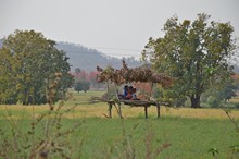 vignette Inde_2018_0527.jpg
