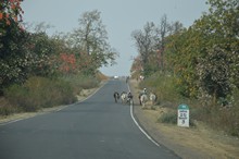 vignette Inde_2018_0528.jpg