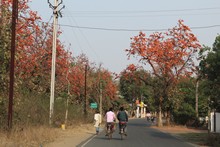 vignette Inde_2018_0535.jpg