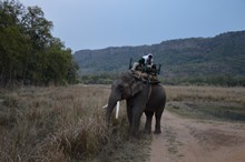 vignette Inde_2018_0557.jpg