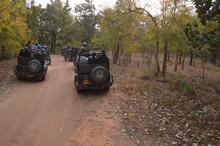 vignette Inde_2018_0559.jpg