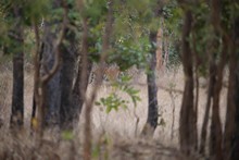 vignette Inde_2018_0564.jpg