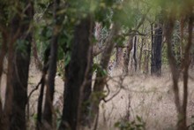 vignette Inde_2018_0567.jpg