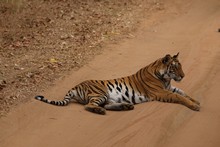 vignette Inde_2018_0593.jpg