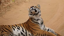 vignette Inde_2018_0630.jpg