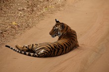 vignette Inde_2018_0644.jpg