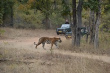 vignette Inde_2018_0690.jpg