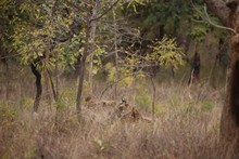 vignette Inde_2018_0696.jpg