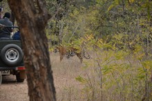 vignette Inde_2018_0729.jpg