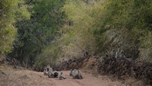 vignette Inde_2018_0749.jpg