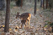 vignette Inde_2018_0869.jpg