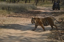 vignette Inde_2018_0946.jpg