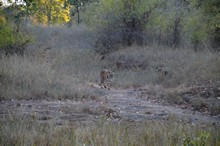 vignette Inde_2018_1058.jpg