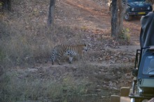 vignette Inde_2018_1139.jpg