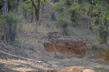 vignette Inde_2018_1146.jpg