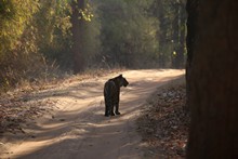 vignette Inde_2018_1161.jpg