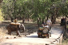 vignette Inde_2018_1195.jpg
