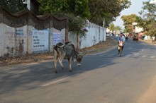 vignette Inde_2018_1231.jpg