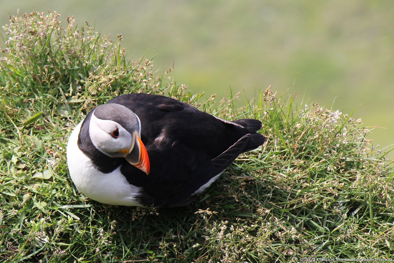 /ecran/Islande_0404.jpg