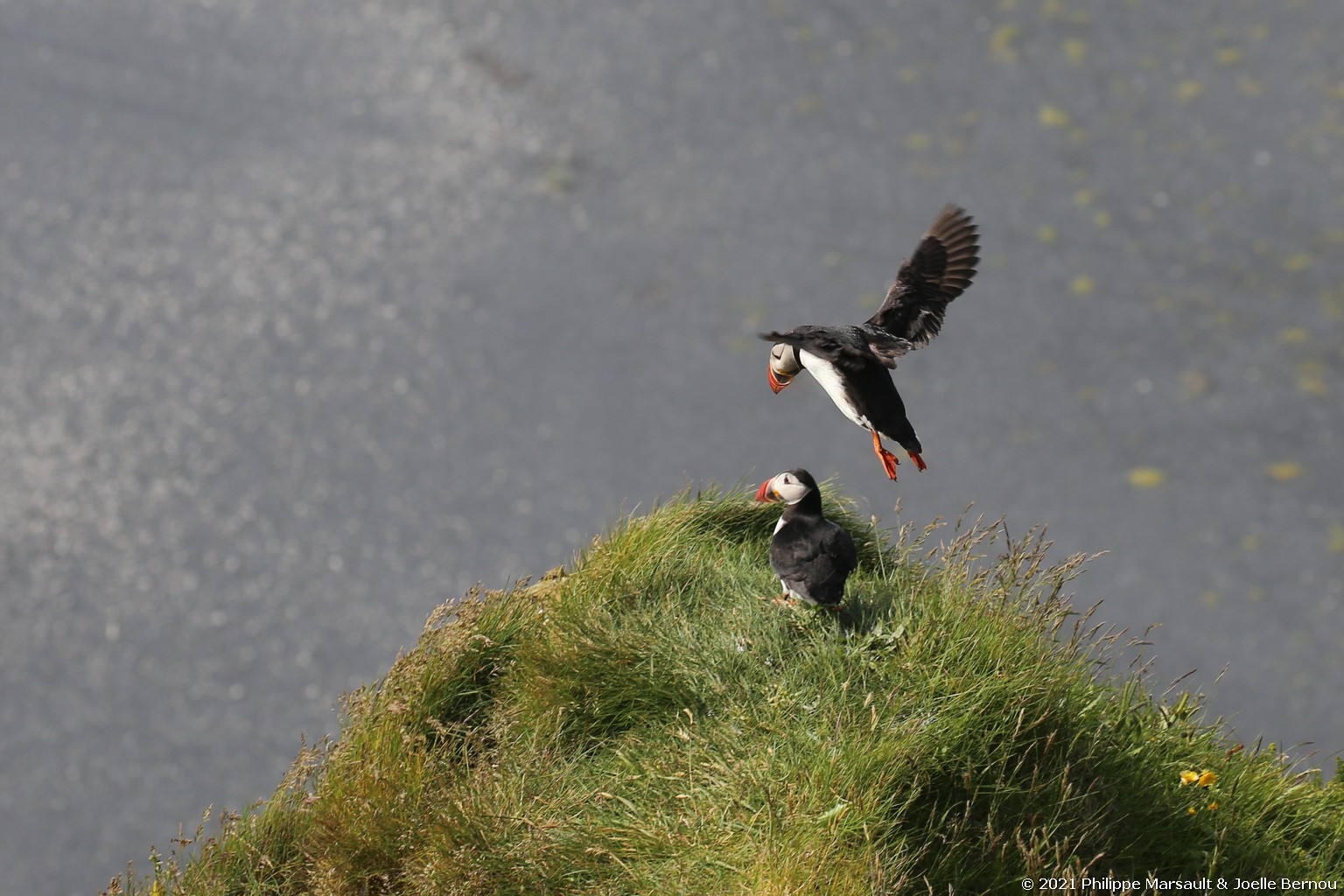 /ecran/Islande_0405.jpg