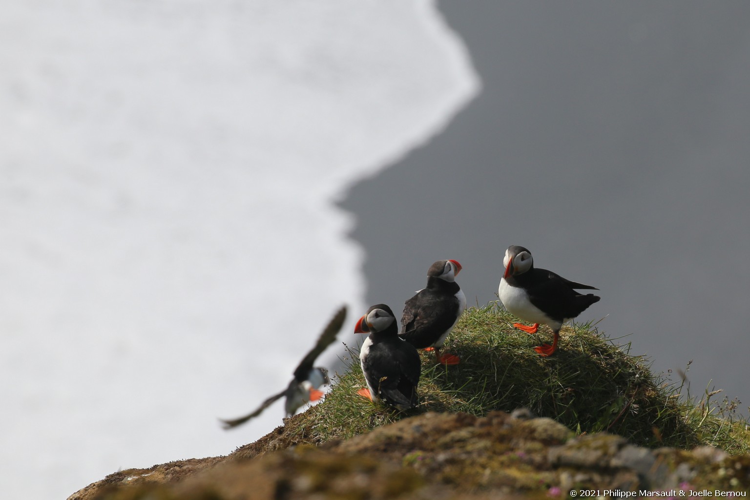 /ecran/Islande_0409.jpg