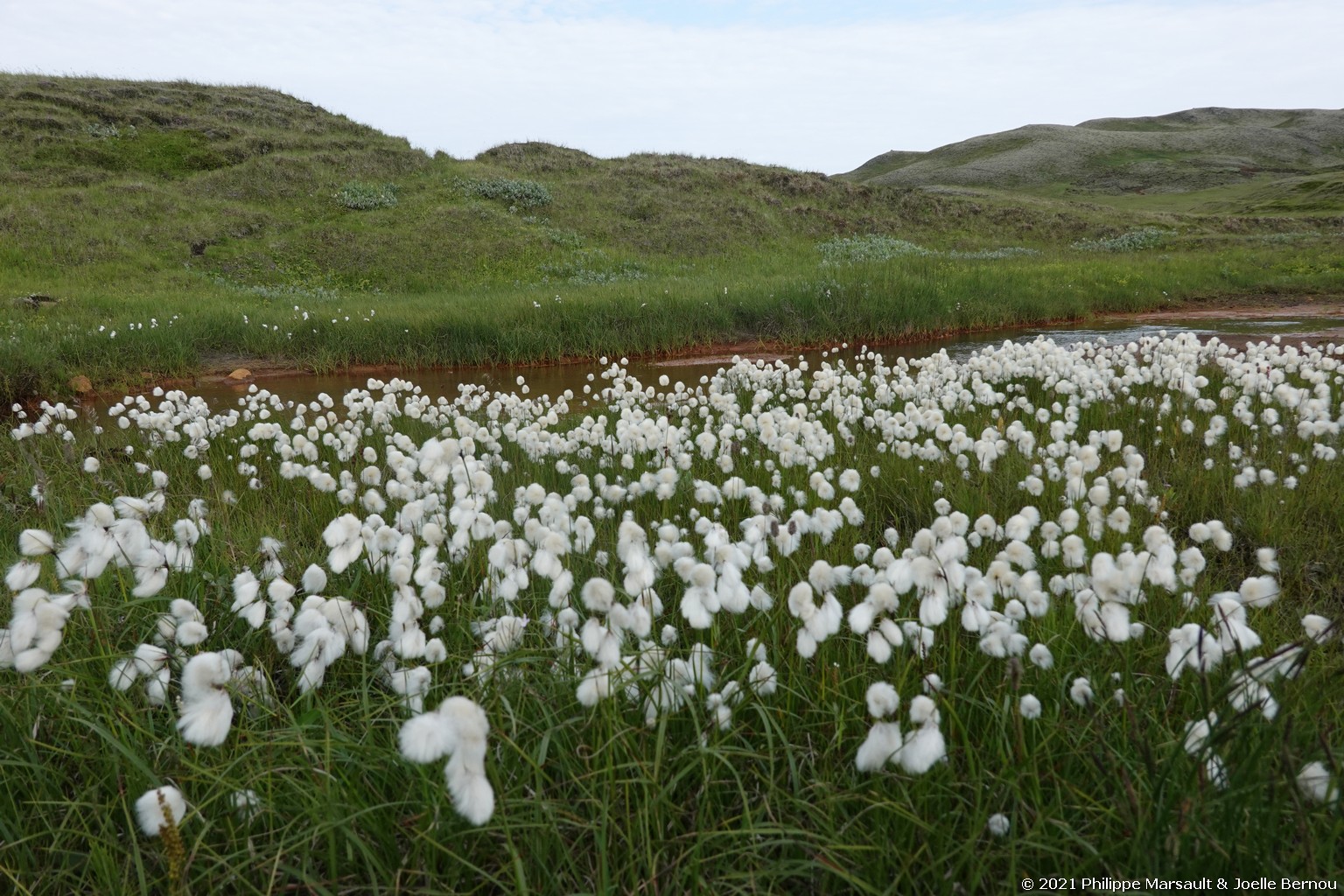 /ecran/Islande_0491.jpg