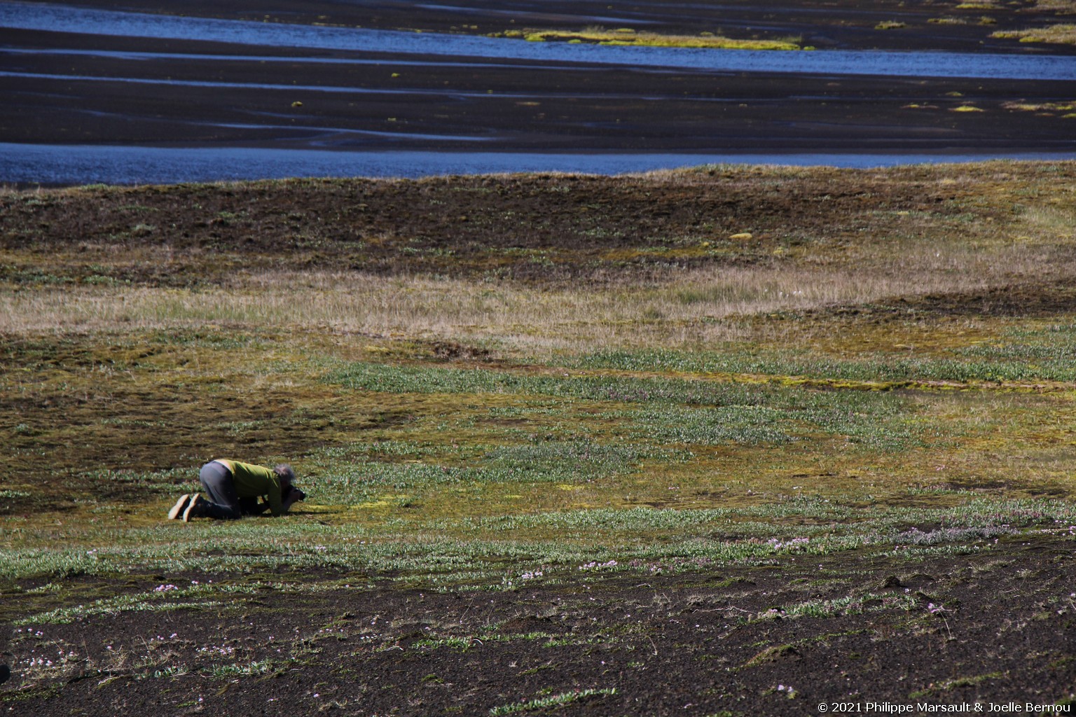 /ecran/Islande_0682.jpg