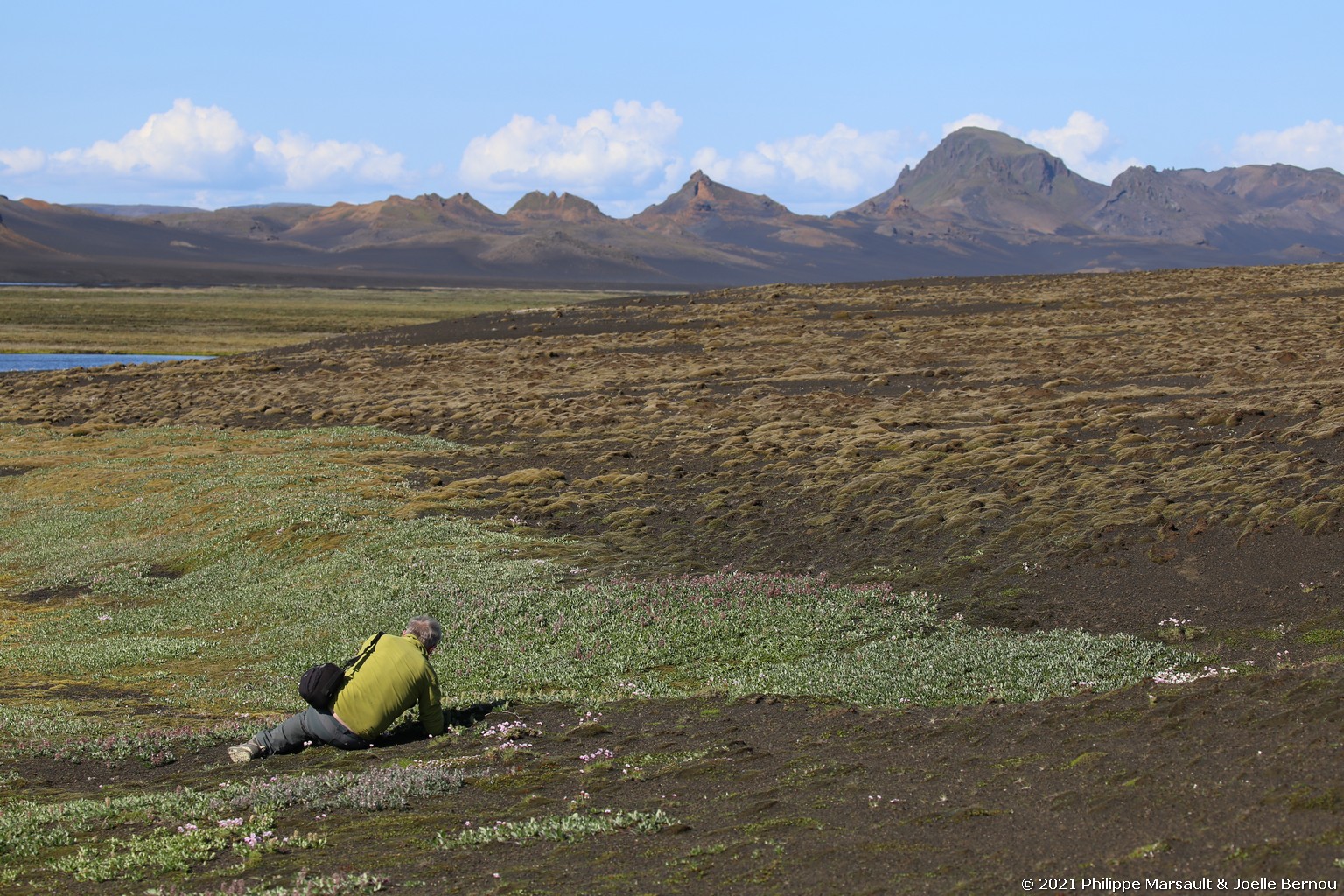 /ecran/Islande_0687.jpg