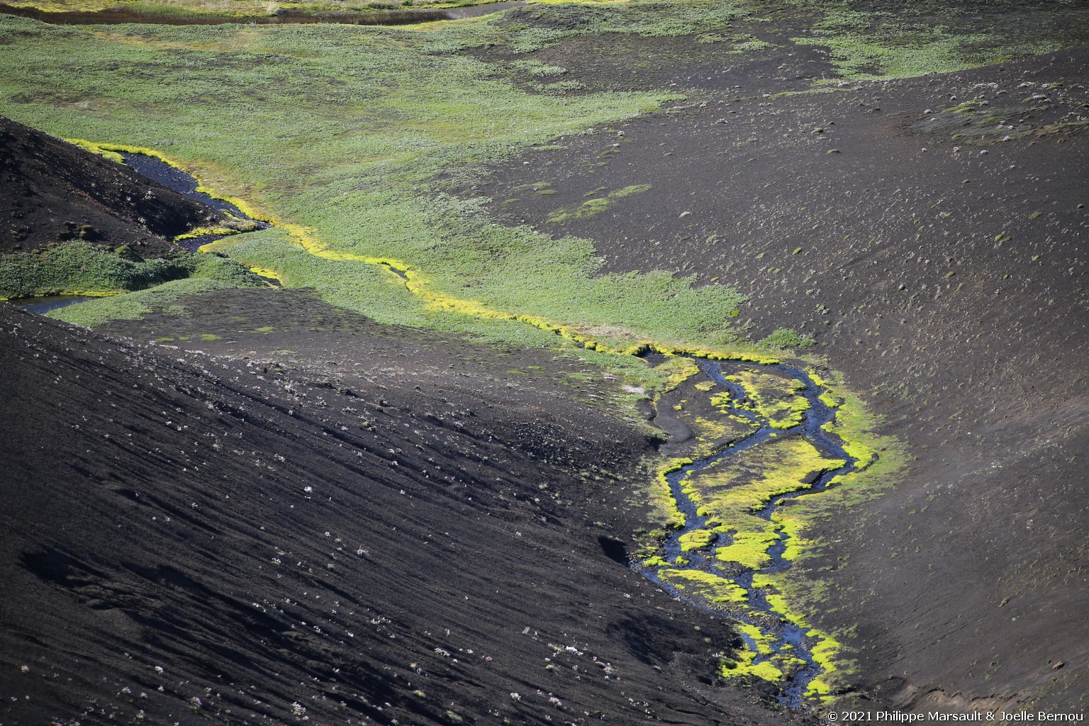 /ecran/Islande_0692.jpg