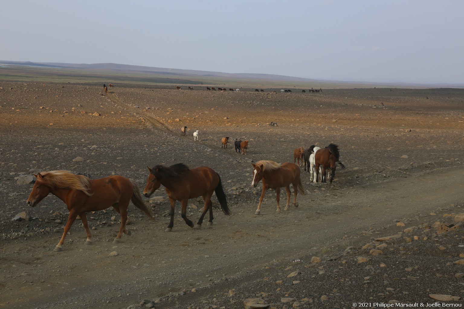/ecran/Islande_0877.jpg